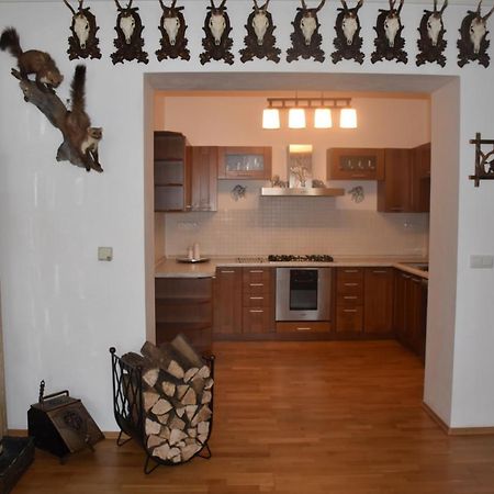Lovecky Apartman Na Namesti Ve Frenstate Pod Radhostem Frenštát pod Radhoštěm 외부 사진