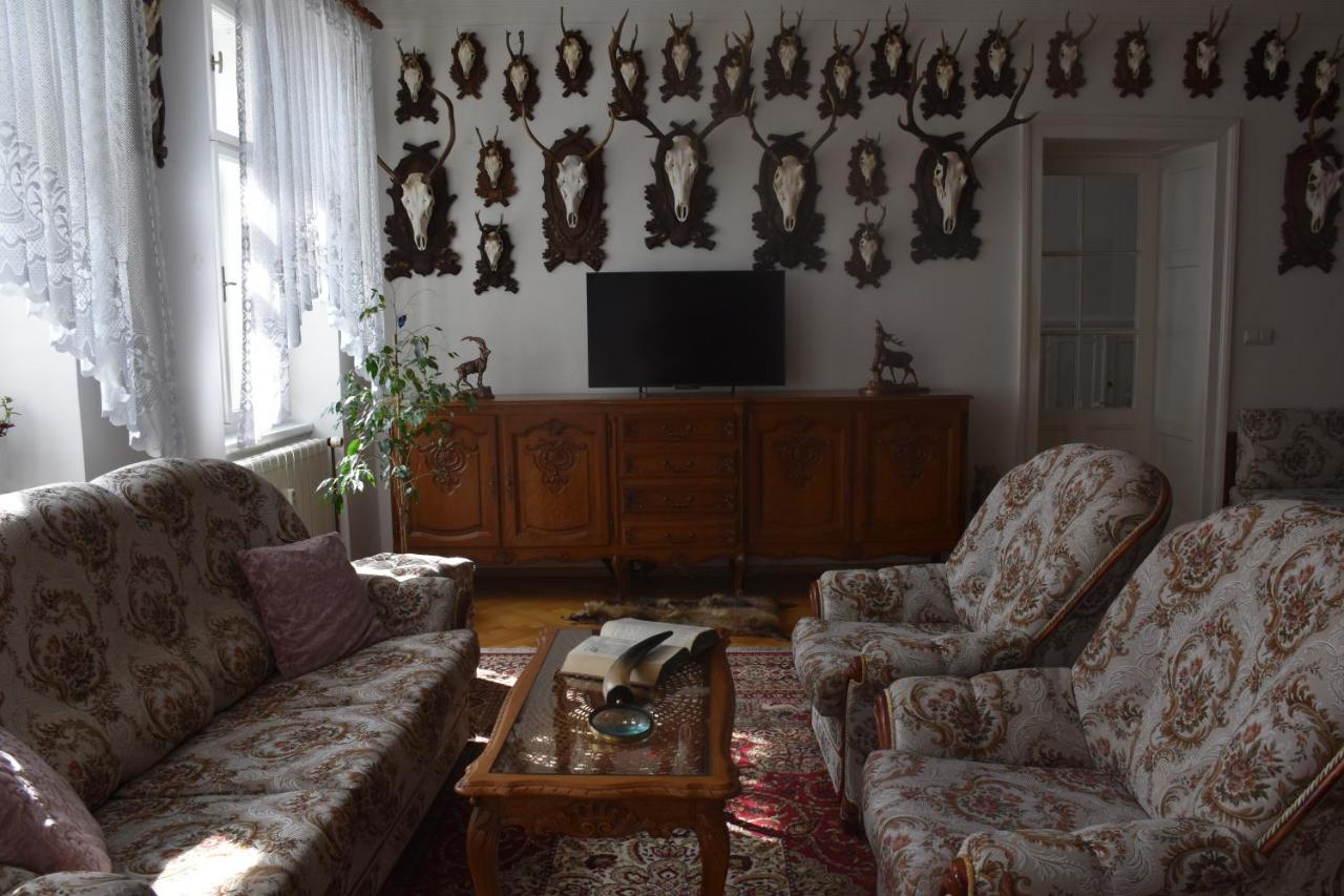 Lovecky Apartman Na Namesti Ve Frenstate Pod Radhostem Frenštát pod Radhoštěm 외부 사진